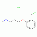 3-[2-(Chloromethyl)phenoxy]-N,N-dimethylpropylamine hydrochloride , 97%