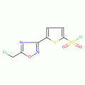 5-[5-(Chloromethyl)-1,2,4-oxadiazol-3-yl]-2-thiophenesulfonyl chloride, 90%+