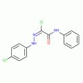 2-Chloro-2-[2-(4-chlorophenyl)hydrazono]-N-phenylacetamide