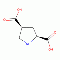 L-CIS-PYRROLIDINE-2,4-DICARBOXYLIC ACID