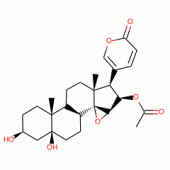 CINOBUFOTALIN VENOM TOAD