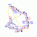 DEFENSIN HNP-2, HUMAN