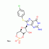 8-(4-CHLOROPHENYLTHIO)GUANOSINE3':5'-CYC LIC MONOPH