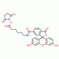 5(6)-Carboxyfluorescein-hexanoic acid, NHS ester