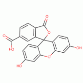 6-羧基荧光素