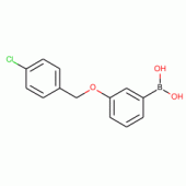 3-(4'-CHLOROBENZYLOXY)PHENYLBORONIC ACID