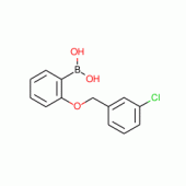 2-(3'-CHLOROBENZYLOXY)PHENYLBORONIC ACID