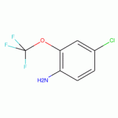 4-Chloro-2-(trifluoromethoxy)aniline, 97%