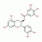 儿茶素没食子酸酯
