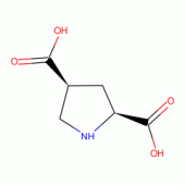 L-CIS-PYRROLIDINE-2,4-DICARBOXYLIC ACID