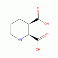CIS-2,3-PIPERIDINE DICARBOXYLIC ACID--*D EA CONTROLL