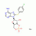 8-(4-CHLOROPHENYLTHIO)ADENOSINE 3':5'-CY CLIC MONOP