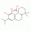 鼠尾草酸