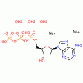 2'-Deoxyadenosine-5'-triphosphate disodium salt