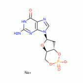 2'-DEOXYGUANOSINE 3':5'-CYCLIC*MONOPHOSP HATE SODIUM