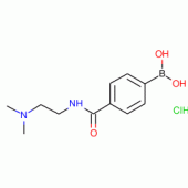 4-{[2-(Dimethylamino)ethyl]carbamoyl}benzeneboronic acid hydrochloride