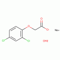 2,4-DICHLOROPHENOXYACETIC ACID SODIUM
