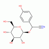 DHURRIN(RG)