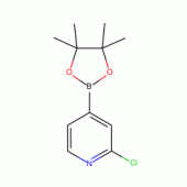 2-Chloro-4-(4,4,5,5-tetramethyl-[1,3,2]-dioxaborolan-2-yl)-pyridine