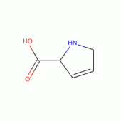 3,4-DEHYDRO-DL-PROLINE, 98%