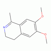 6,7-Dimethoxy-1-methyl-3,4-dihydroisoquinoline, 97%