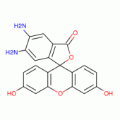 5,6-DIAMINOFLUORESCEIN