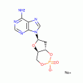 2'-DEOXYADENOSINE 3':5'-CYCLICMONOPHOSPH ATE SODIUM