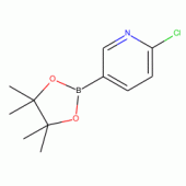 2-Chloro-5-(4,4,5,5-tetramethyl-1,3,2-dioxaborolan-2-yl)pyridine, 97%