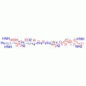 C-PEPTIDE HUMAN