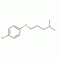 2-[3-(Dimethylamino)propoxy]bromobenzene 97%