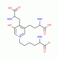 Deoxypyridinoline