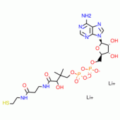 3'-DEPHOSPHOCOENZYME A FREE ACID