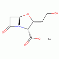 Clavulanic acid potassium salt