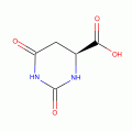 L-DIHYDROOROTIC ACID