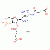 N6,2'-O-DISUCCINYLADENOSINE 3':5'-CYCLIC  MONOPHOSP