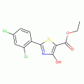 Ethyl 2-(2,4-dichlorophenyl)-4-hydroxy-1,3-thiazole-5-carboxylate , 97%