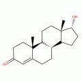 表睾酮