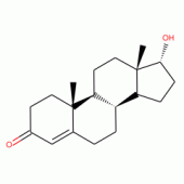 表睾酮