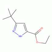 Ethyl 3-(tert-butyl)-1H-pyrazole-5-carboxylate, 97%