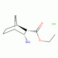 Ethyl 3-endo-aminobicyclo[2,2,1]heptane-2-endo-carboxylate hydrochloride, 97%