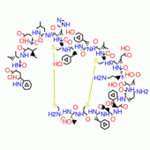 ENDOTHELIN 3 HUMAN, RAT