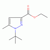 Ethyl 1-(tert-butyl)-5-methyl-1H-pyrazole-3-carboxylate , 95%
