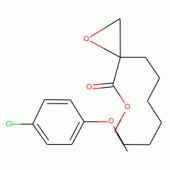 rac- Etomoxir