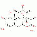 EURYCOMANONE(P)