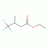 Ethyl 3-methyl-4,4,4-trifluorobutyrate 97%
