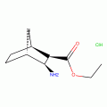 Ethyl 3-exo-aminobicyclo[2.2.1]heptane-2-exo-carboxylate hydrochloride, 98%