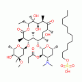 Erythromycin Estolate (200 mg)