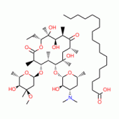 Erythromycin Stearate (200 mg)