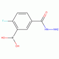 2-Fluoro-5-(hydrazinocarbonyl)benzeneboronic acid 95%