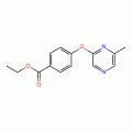 Ethyl 4-[(6-methylpyrazin-2-yl)oxy]benzoate , 97%
